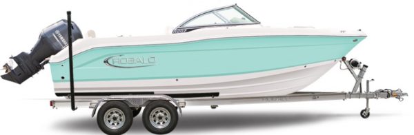See the Robalo R207 at the Michiana Boat Show